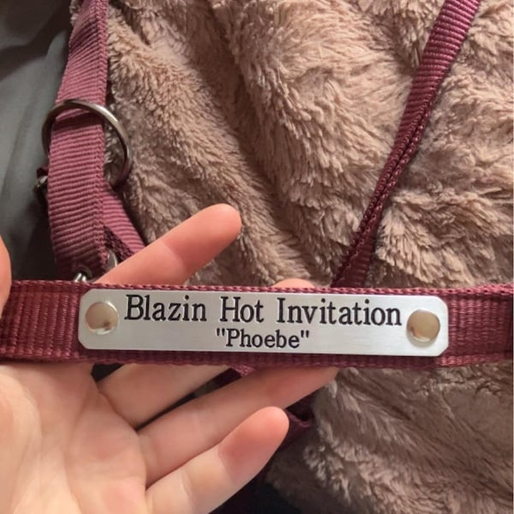 Custom Engraved Stainless Stee - огляд і ціна Embroidery Alphabet